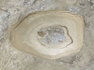 Großes modernes Kunstwerk von Jennit in beige, gold, weiß mit kristallinen Innenkern der Achat Geode mit Kristall.