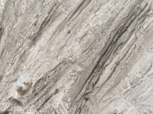 Volition-structure-of-dissent-No03-jennit