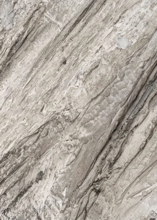 Volition-structure-of-dissent-No03-jennit