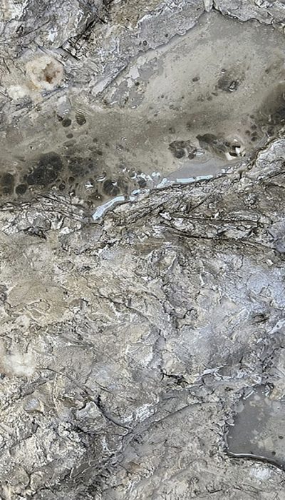 Volition-structure-of-dissent-No02-jennit